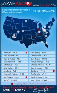 Palin's target map